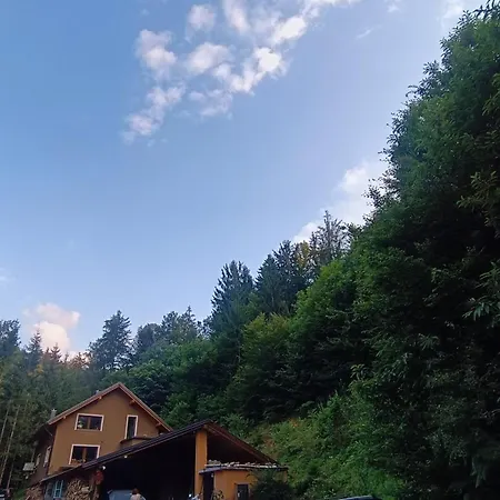 Appartement In The Edge Of Forrest *