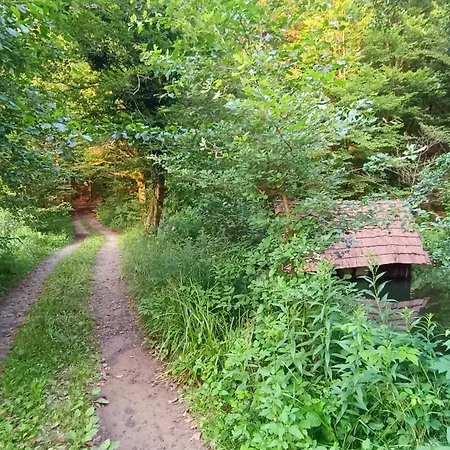 In The Edge Of Forrest Appartement
